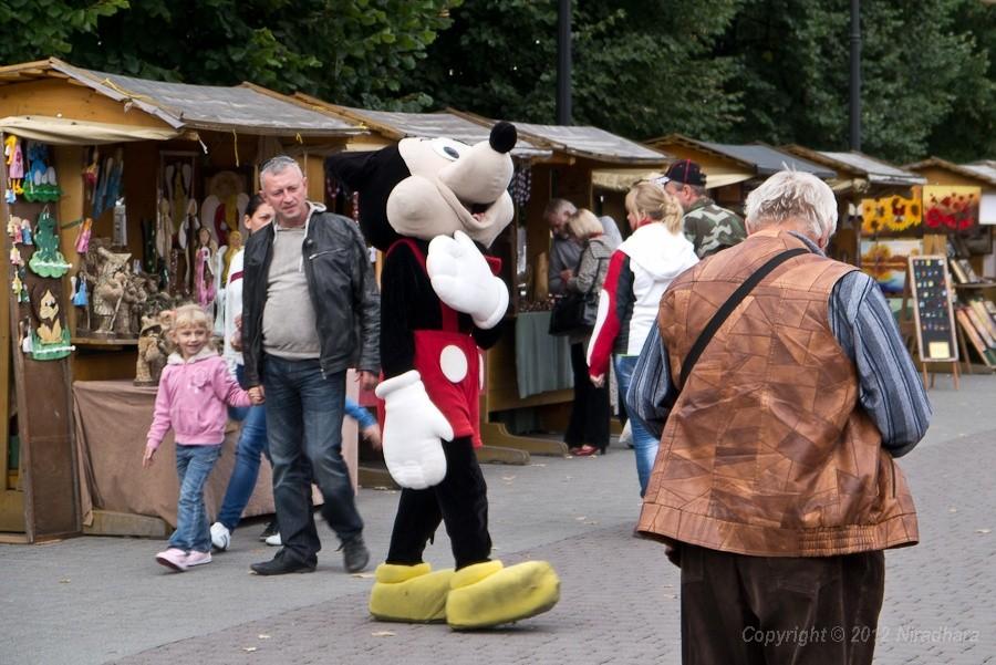 w centrum Wisły harcują myszy