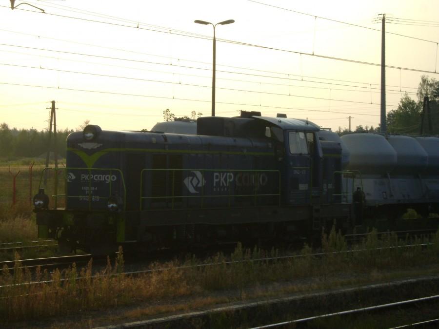 SM42-619 na stacji towarowej Działoszyn