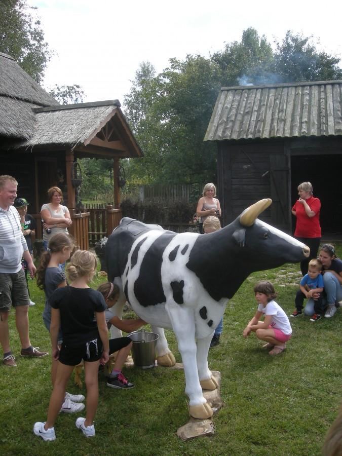 Agrogospodarstwo "Pod Skałką" w Przybynowie.