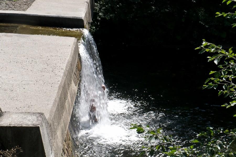 naturalny prysznic