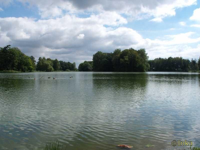 Świerklaniec park