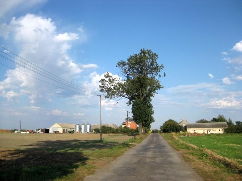 Wieś Latalice