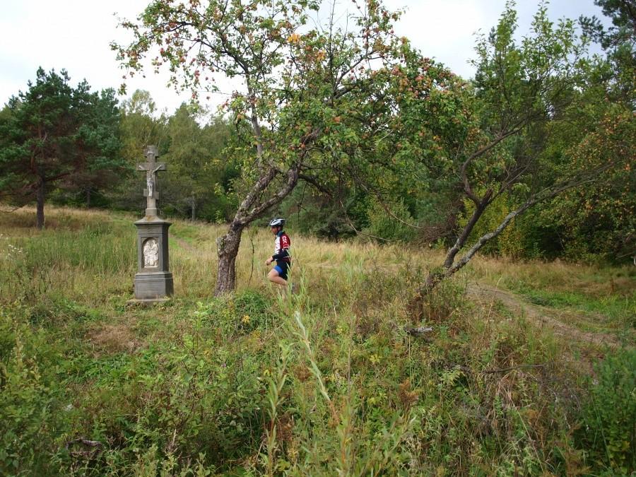 Radocyna.
