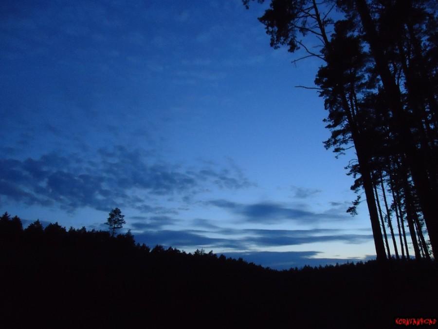 Czuć że lato odchodzi....Wrzesień 19:30 i prawie ciemno w lesie.