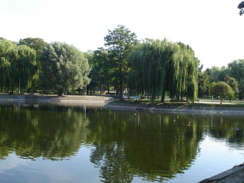 Park w Zduńskiej Woli