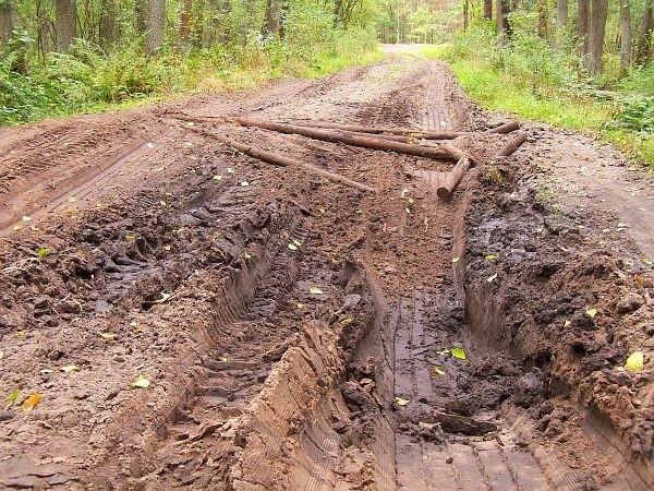 Ktoś chyba miał drobne problemy z wyjechaniem ;)