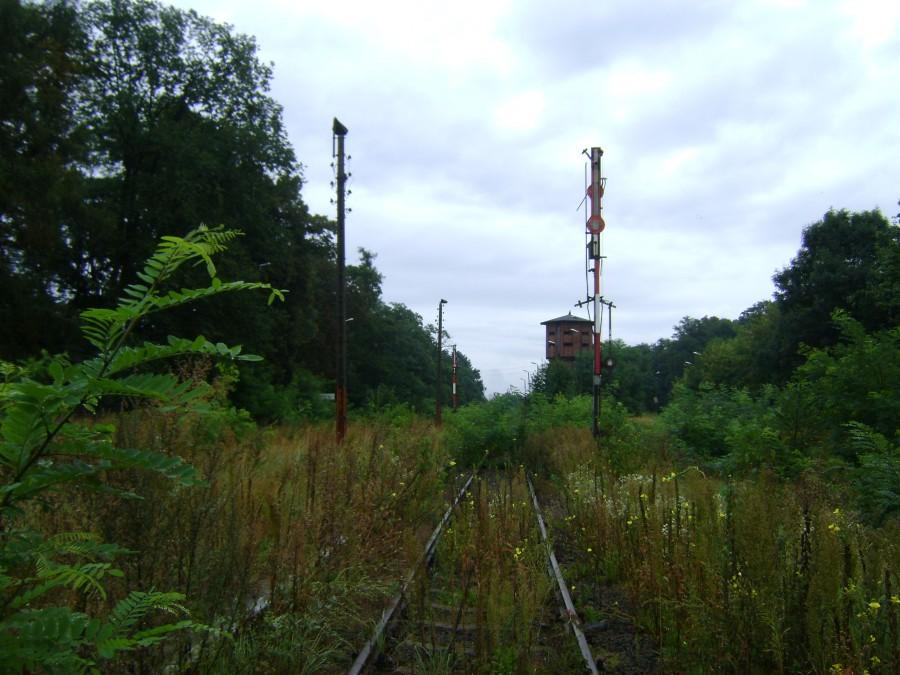 Linia kolejowa nr 181 w stronę Kępna