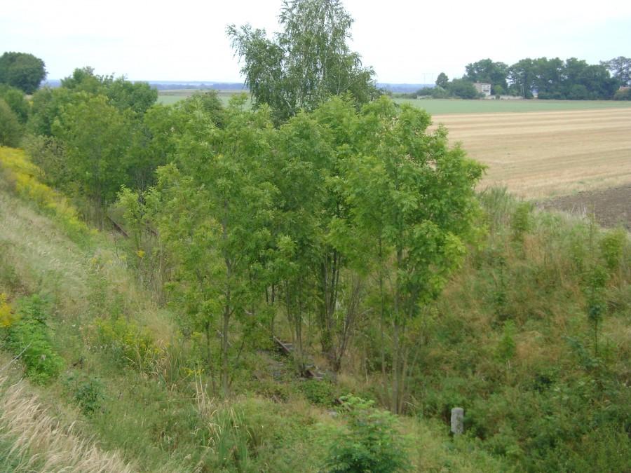 Śladami historii...linia kolejowa nr 307