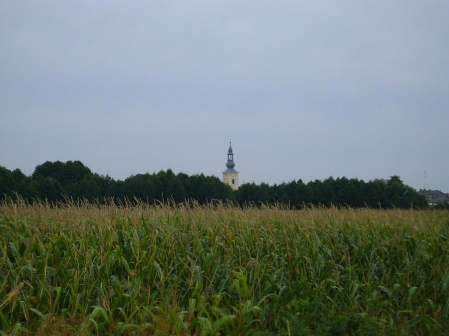 Kościół w Rychtalu w oddali