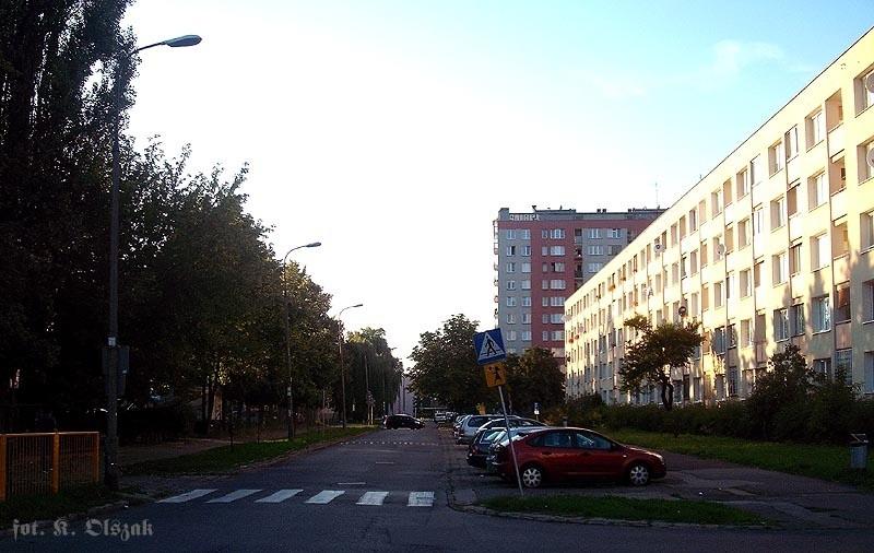 Afryka na Saskiej Kępie