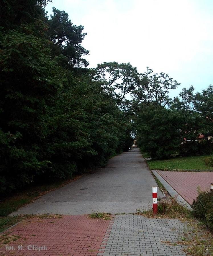 Wędkarkarska na emeryturze