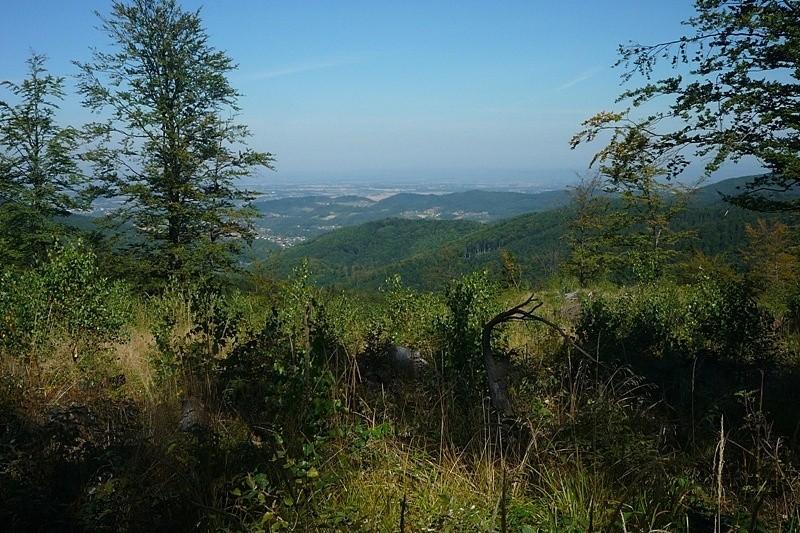 Widok z okolis Łamanej Skały