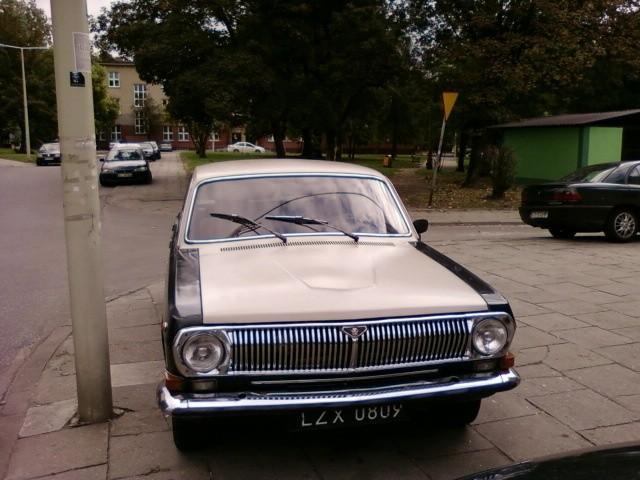 Biało - czarna wołga