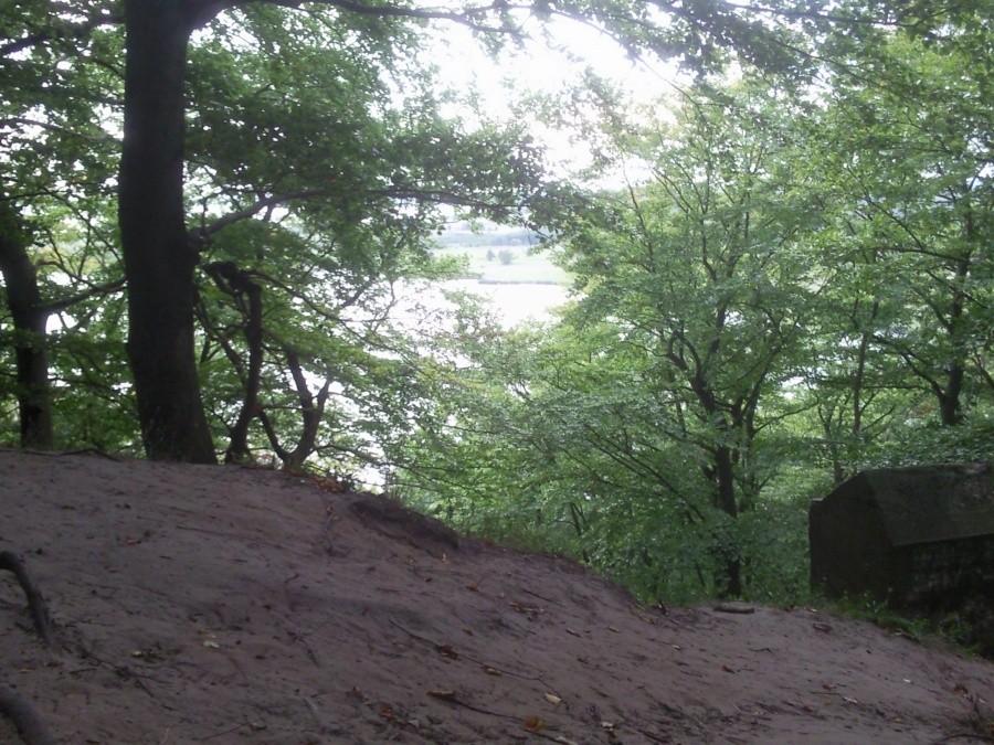 Widok z góry