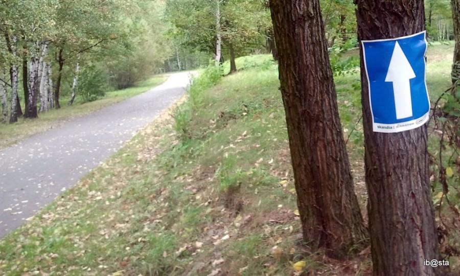 a na Pogorii przygotowania do Skandii