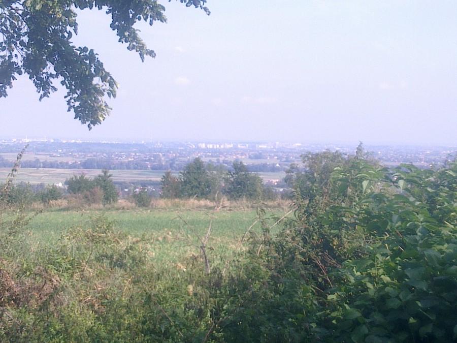 Rzeszów, zółty szlak w okolicy Siedlisk