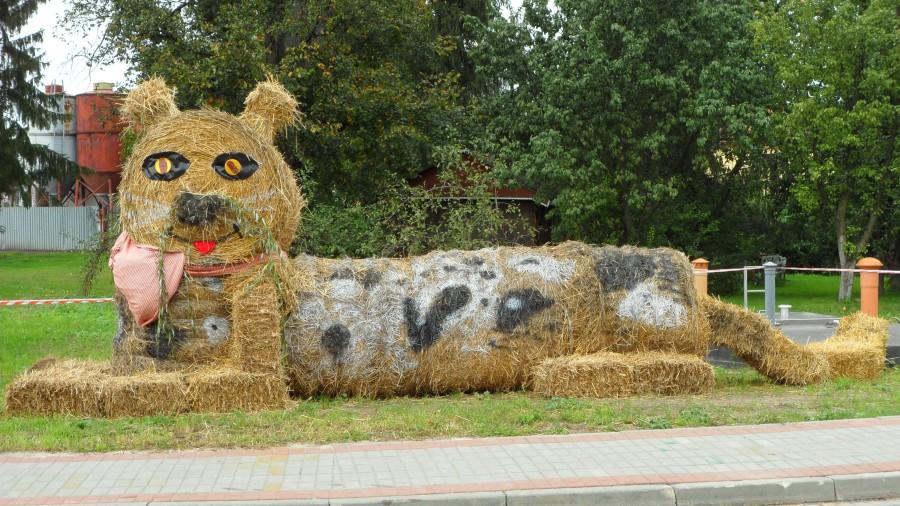 Dożynki Gminne w Grocholubiu 9