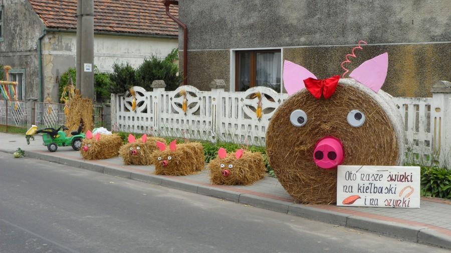 Dożynki Gminne w Grocholubiu 10