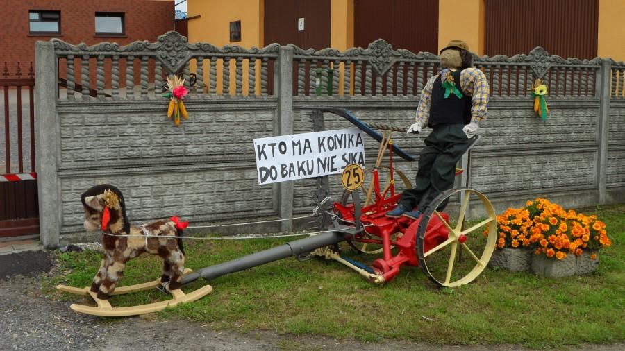 Dożynki Gminne w Grocholubiu 11