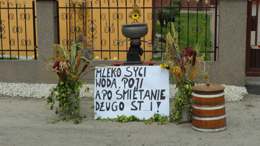 Dożynki Gminne w Grocholubiu 12