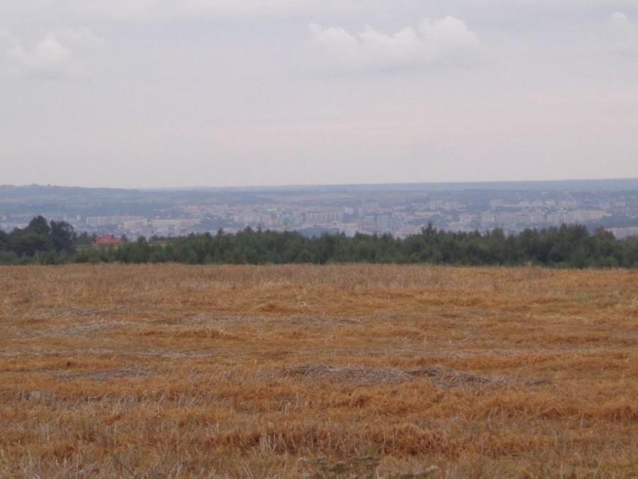 Metopolia Rzeszów z daleka..