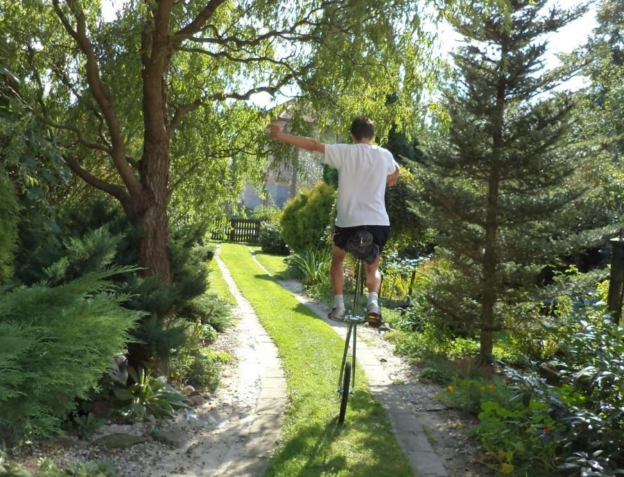 Mojej żyrafie zapewniam warunki zbliżone do naturalnych