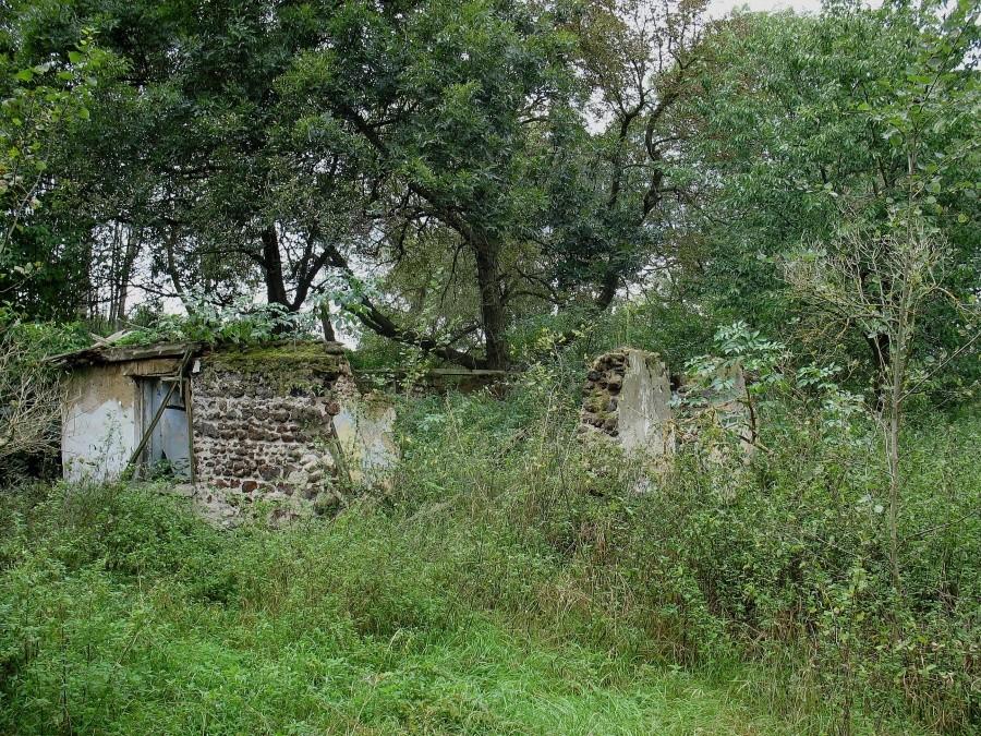 Olszynki - ruiny domu