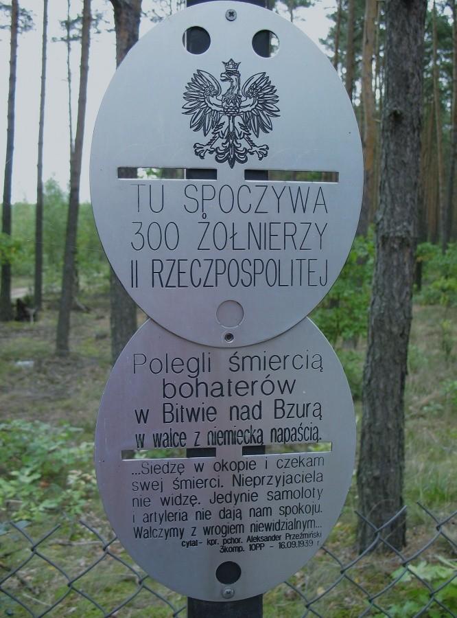 Las Młodzieski - cmentarz 1939 r.