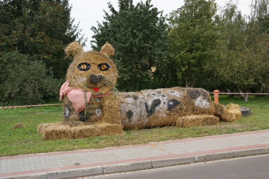 Gminne Dożynki w Grocholubiu 10