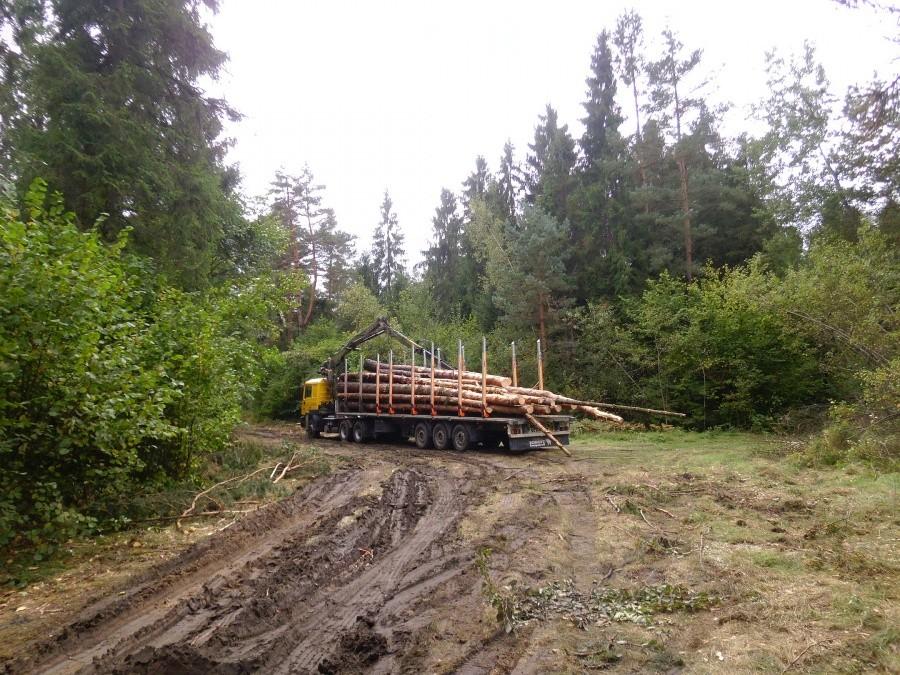 Bedą nowe meble