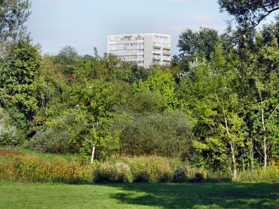 Końcówka lata pod Lasem Arkońskim - 17 września 12 r.