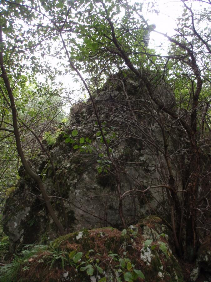Mrowianka Mniejsza