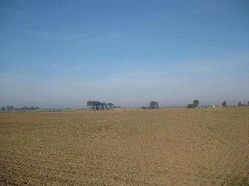 Widok na pola w okolicy wsi Dębnica, niedaleko Gniezna