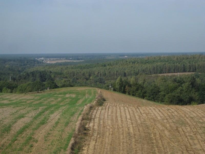 widoczek z wieży 2