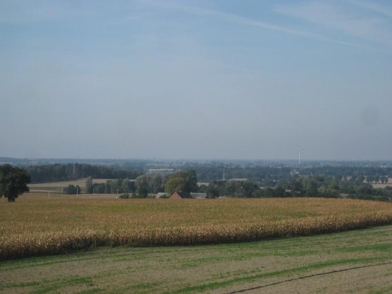 widoczek z wieży 4