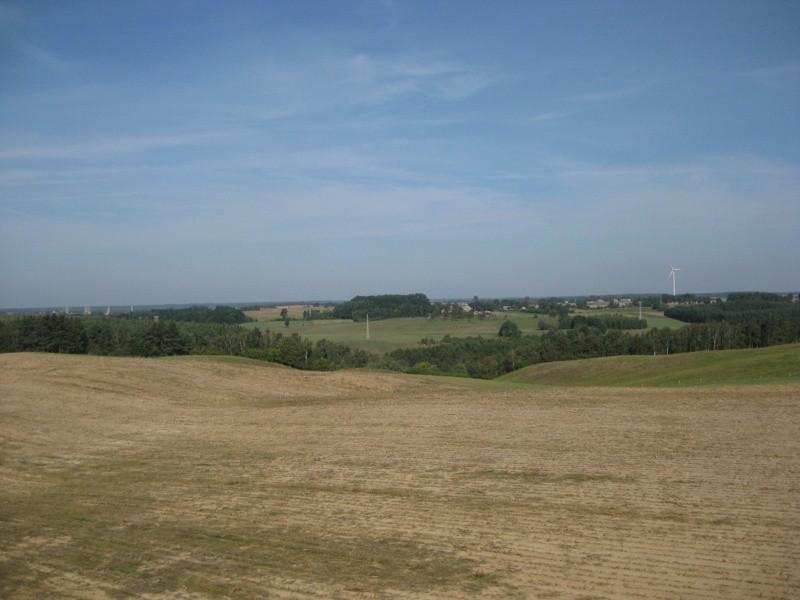 widoczek z wieży 6
