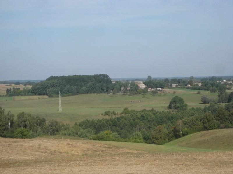 widoczek z wieży 7