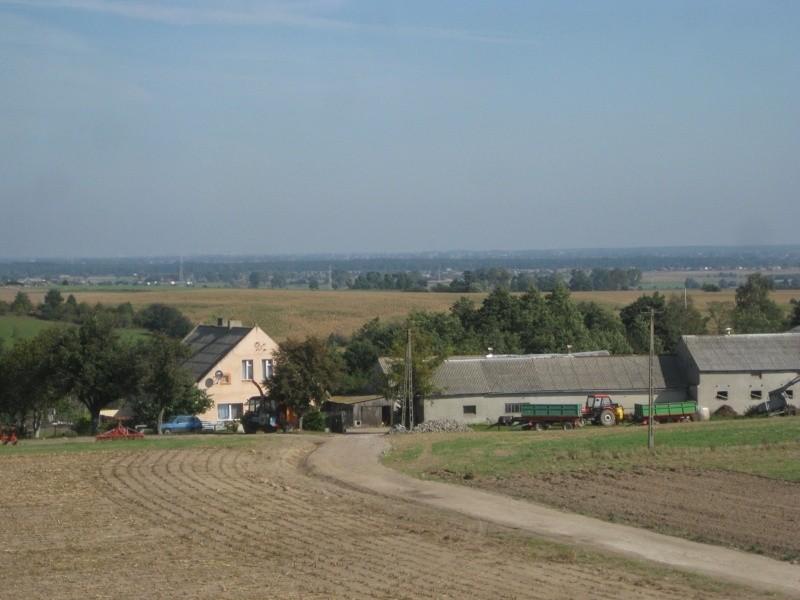 widoczek z wieży 8
