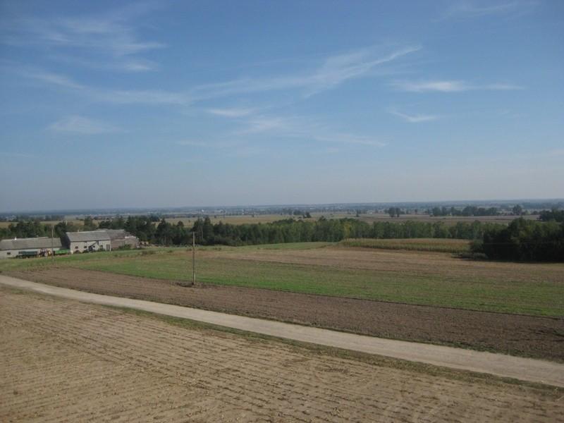 widoczek z wieży 10