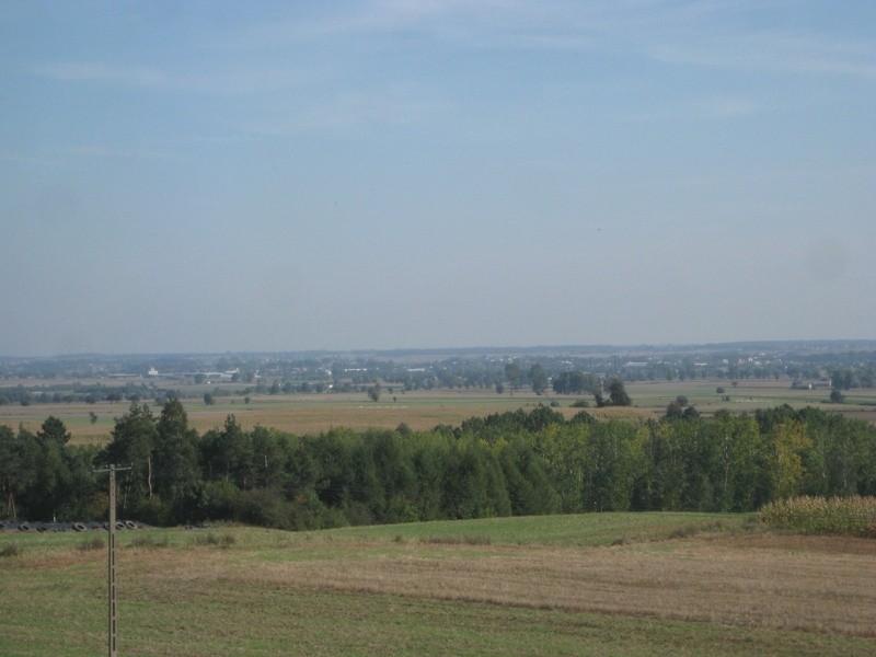 widoczek z wieży 11