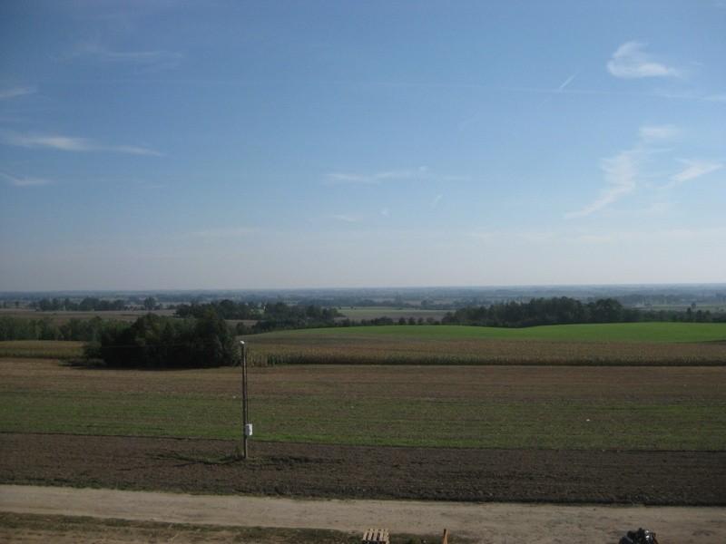 widoczek z wieży 12