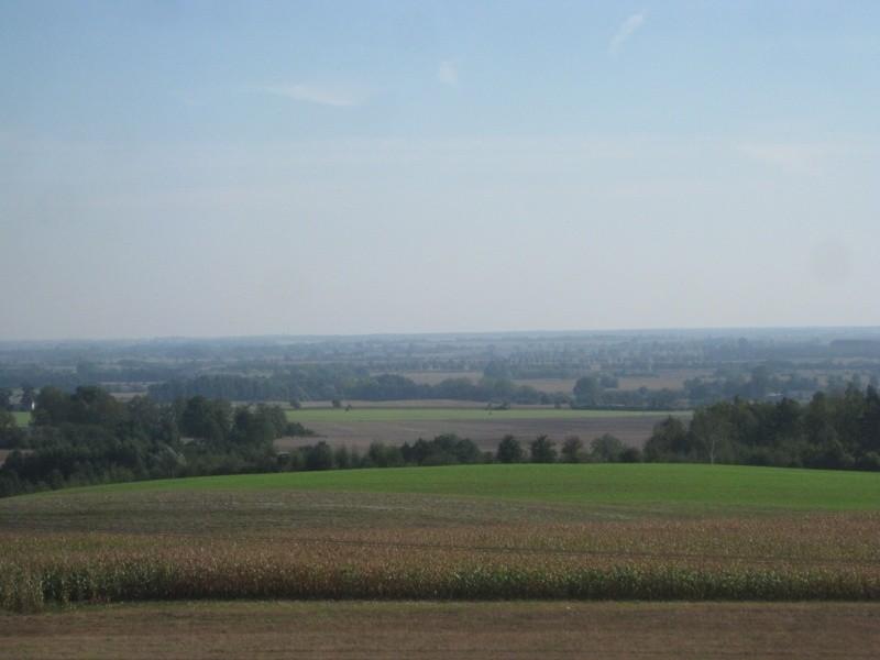 widoczek z wieży 13