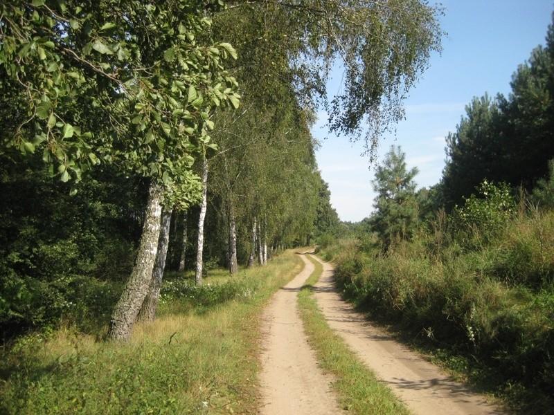 Lato nie odpuszcza na szczęście