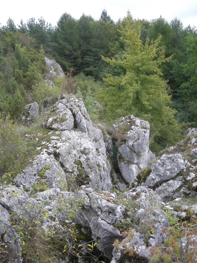 Jura - Mrowianka Większa