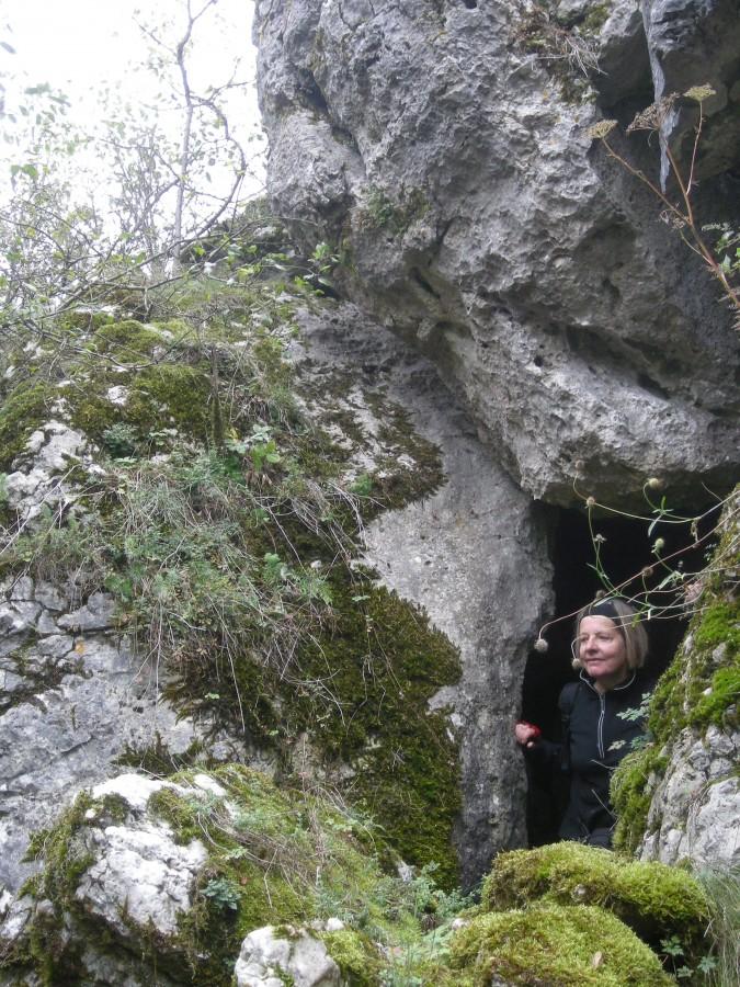 Schronisko w Mrowiance Większej