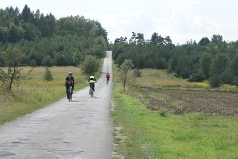 w kierunku pustyni