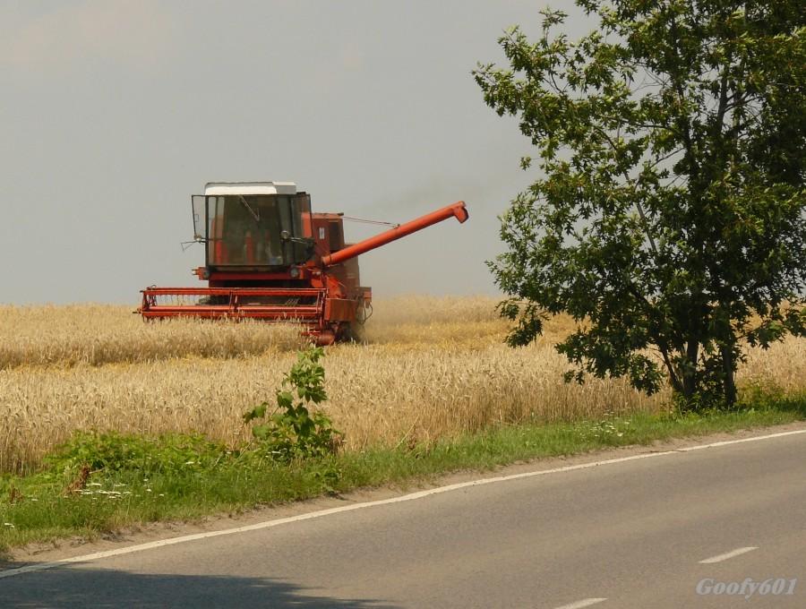Czas żniw :)