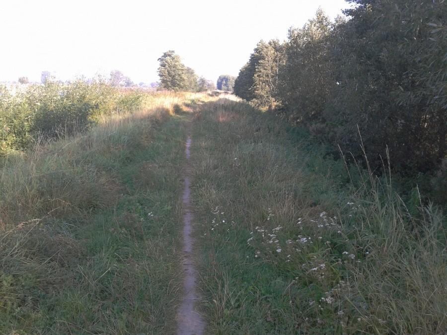 Dróżka po wale rzeki Elbląg