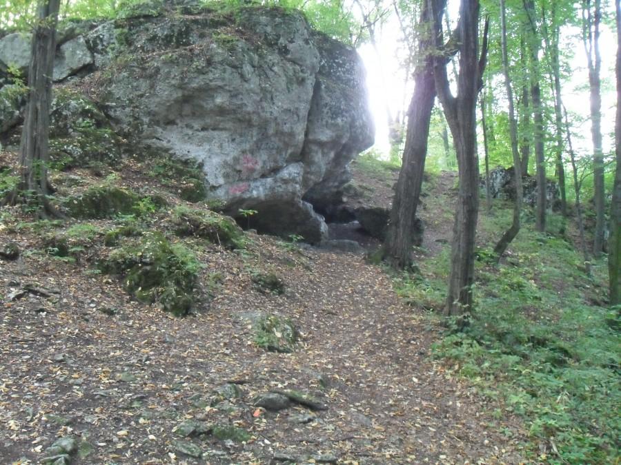 zielona góra