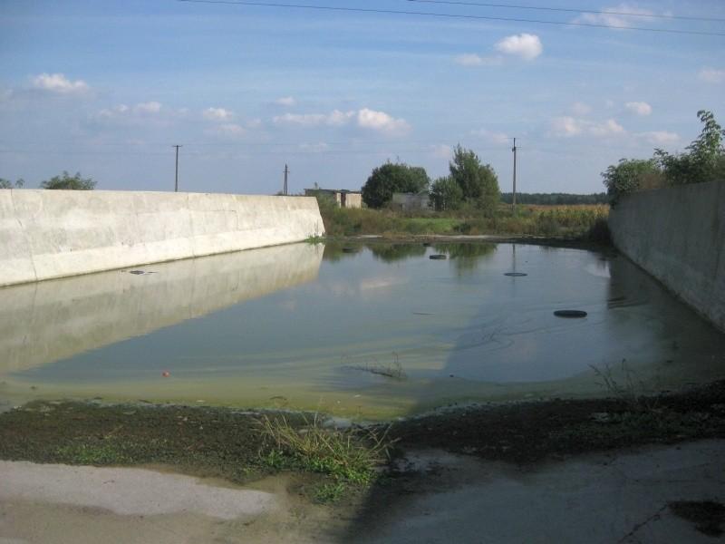 Basen dla odważnych w nieużywanym silosie na kiszonkę